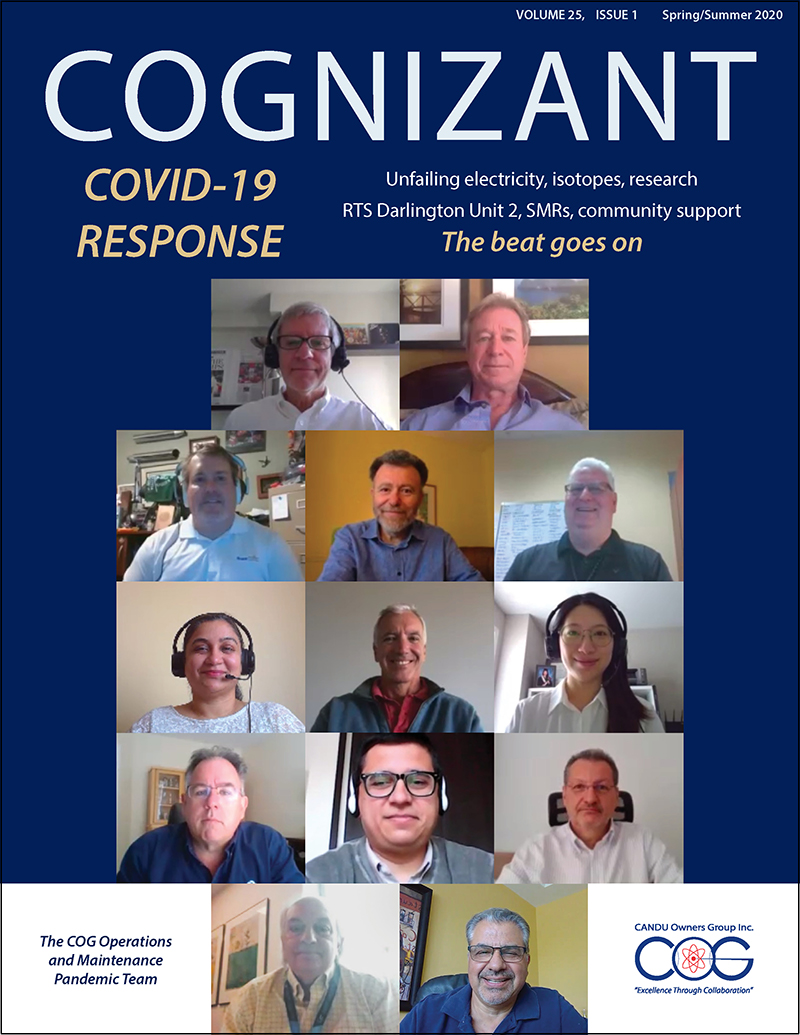 COGnizant, Volume 25, front cover